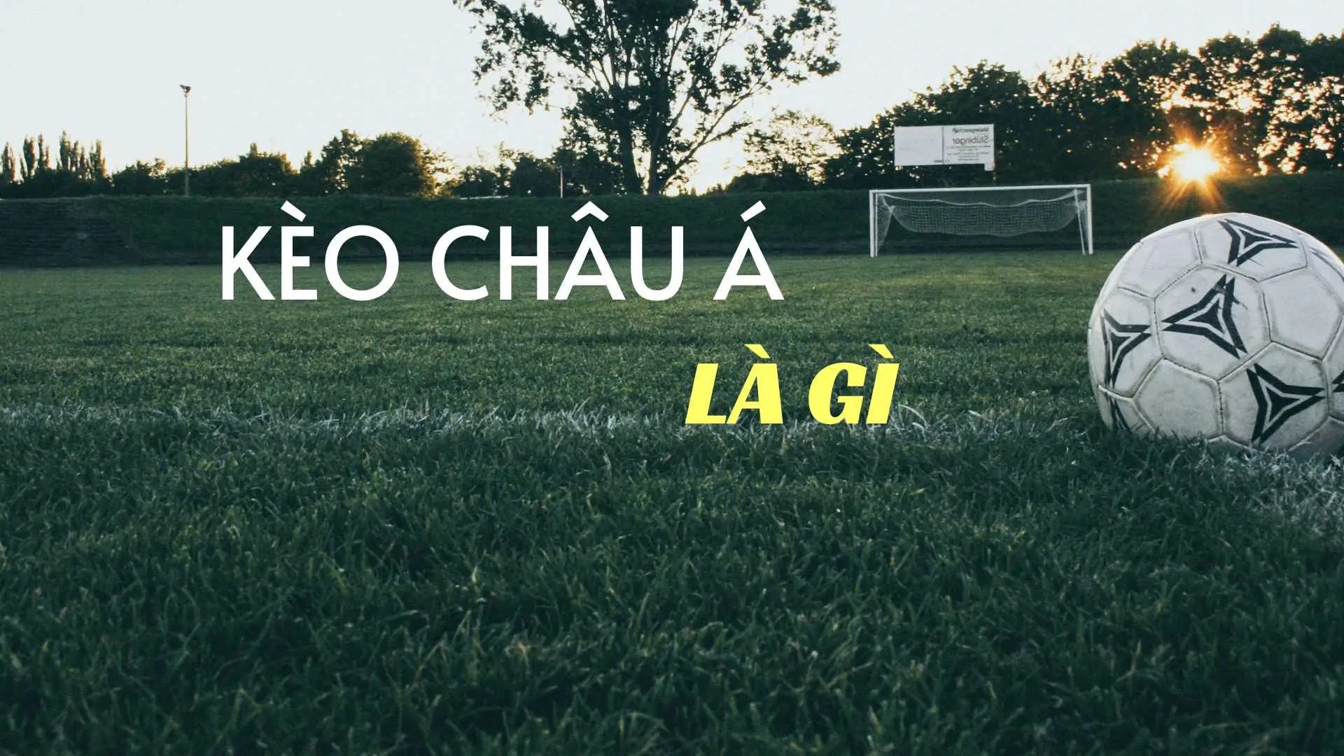 Kèo Châu Á Là Gì? Hướng Dẫn Cách Đọc Kèo Châu Á, Soi Kèo Châu Á Chi Tiết