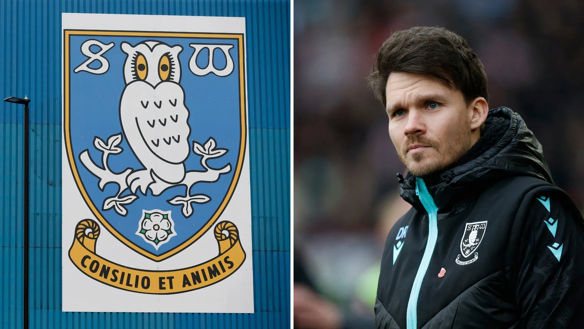 Danny Rohl trên sân Hillsborough, sân nhà Sheffield Wednesday, giữa lúc có tin đồn ra đi