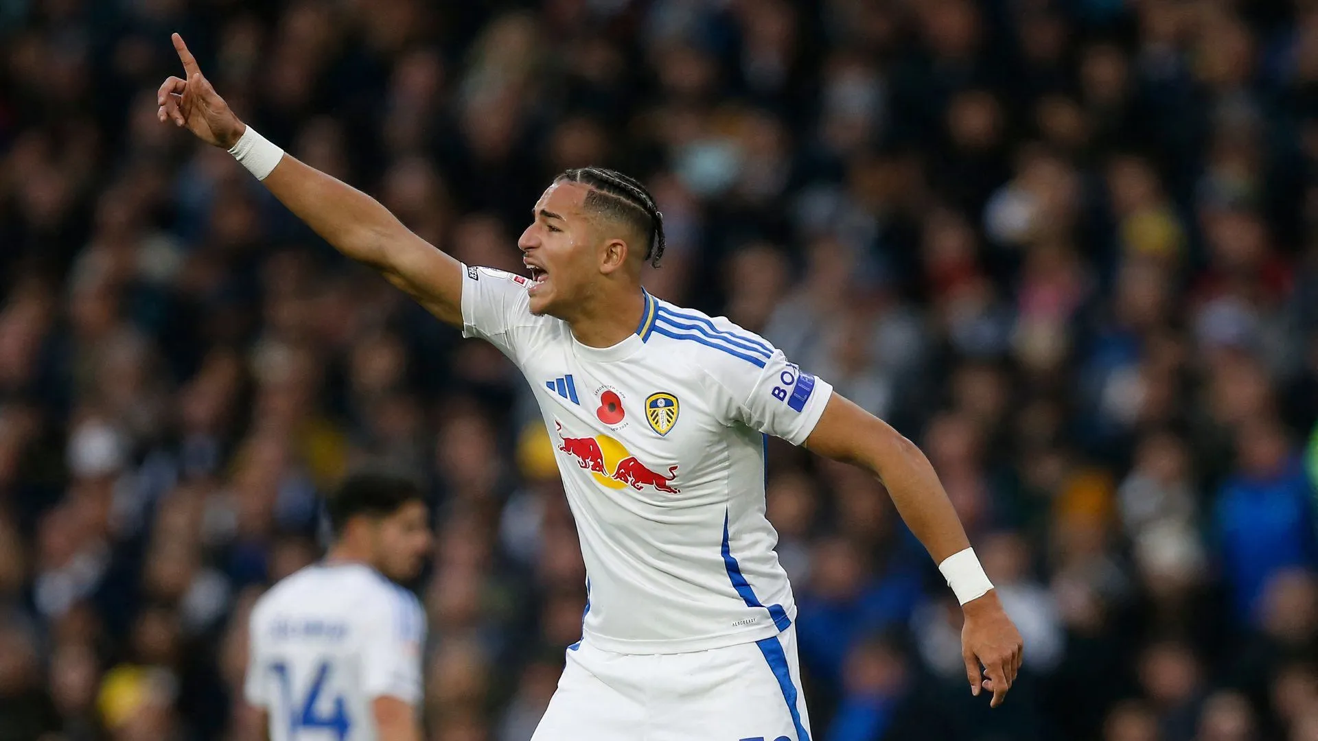 Mateo Joseph, tiền đạo trẻ của Leeds United, trong trận đấu với QPR, đang là mục tiêu chuyển nhượng trị giá 10 triệu bảng của Birmingham City.