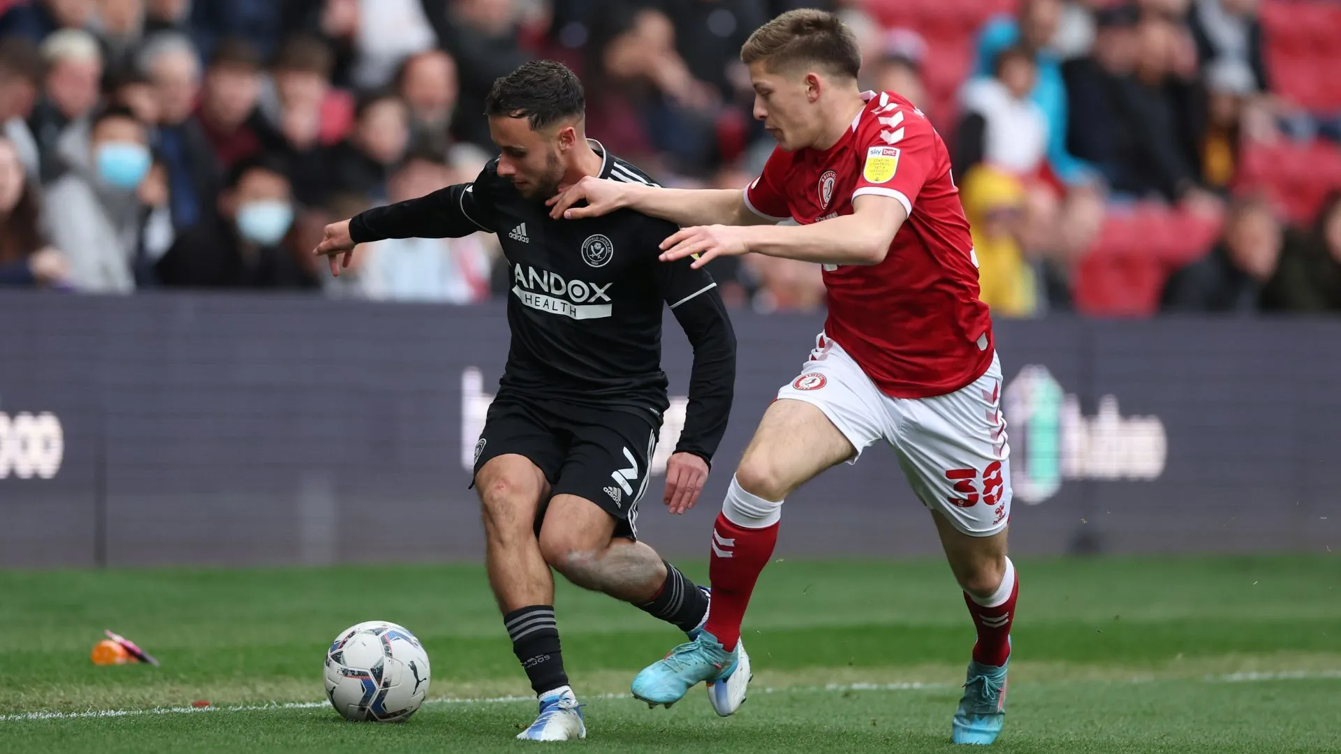 Ayman Benarous - cầu thủ Plymouth Argyle